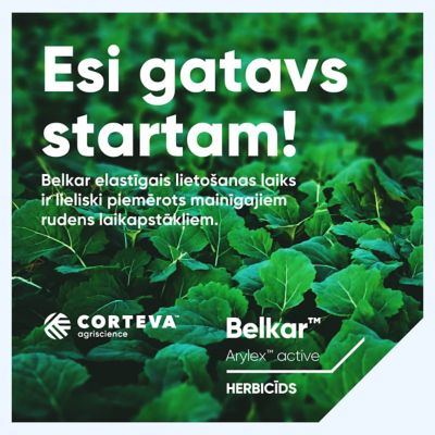 Esi gatavs startam ar Belkar!